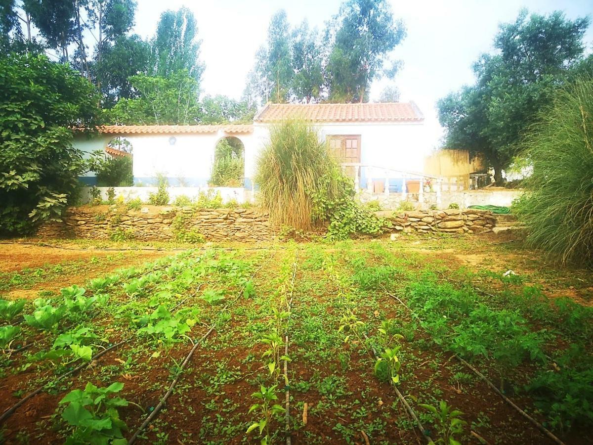Monte dos tres pocos Villa Cercal do Alentejo Exterior foto