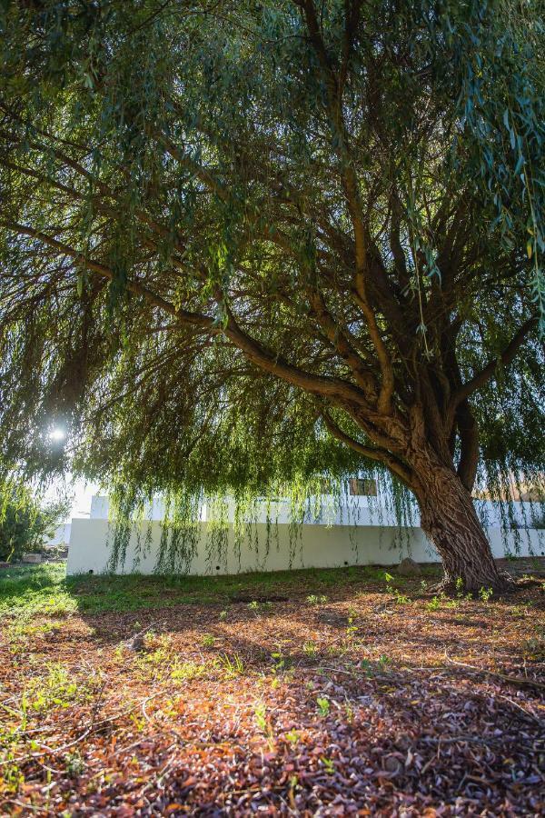Monte dos tres pocos Villa Cercal do Alentejo Exterior foto